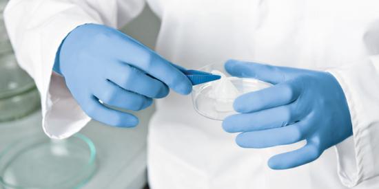 PEHA-SOFT nitrile Unt.Handsch.unste.puderfrei L 100 Stck