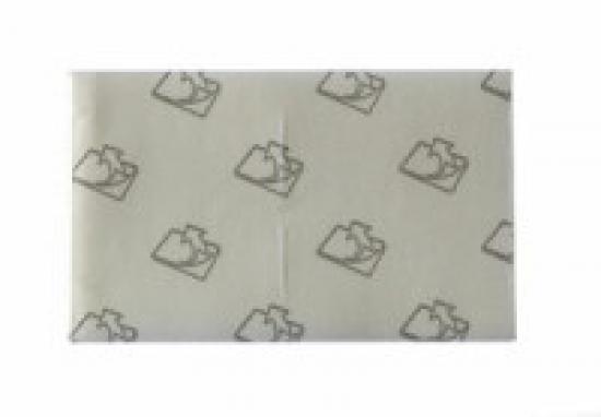 Biatain Ag Cavity  5x8cm
