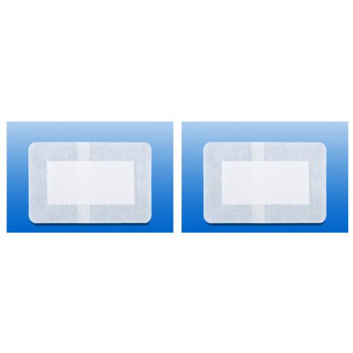 2x RUDAVLIES STER 10CMX8CM 50 Stk.PFLASTER
