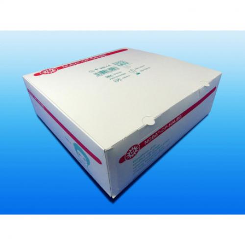 NOBA OP-Haube Barett grn 100 Stck